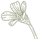 l'oxalis Restaurant Logo
