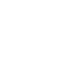 Luftsportgruppe Burgheim e.V. Logo