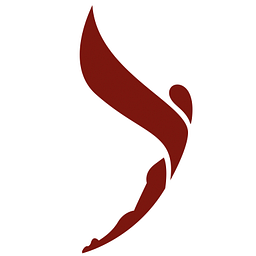 Luftakrobatik Shop Logo