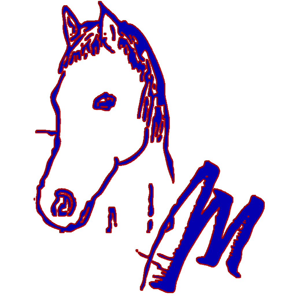 Dressur Ausbildung Mairinger Logo