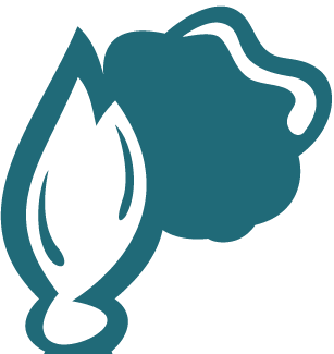 Theis Norbert Maler- und Tapezierbetrieb Maler- und Denkmalpflegewerkstätten Logo