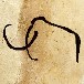 Schott Jürgen Elfenbeinschnitzerei Logo