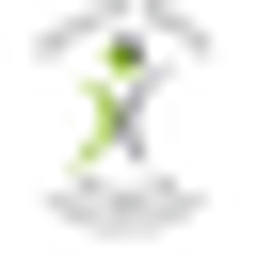 Physiotherapie Manfred Stutz Logo