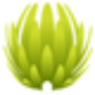 Moll Maria Logo