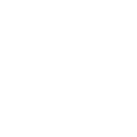 Fabich Markus Logo
