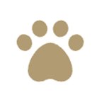 Mary Pelz - HundUmPrima Logo