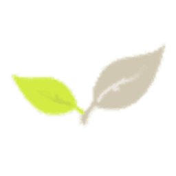 Schäfer Andrea Massagepraxis Logo