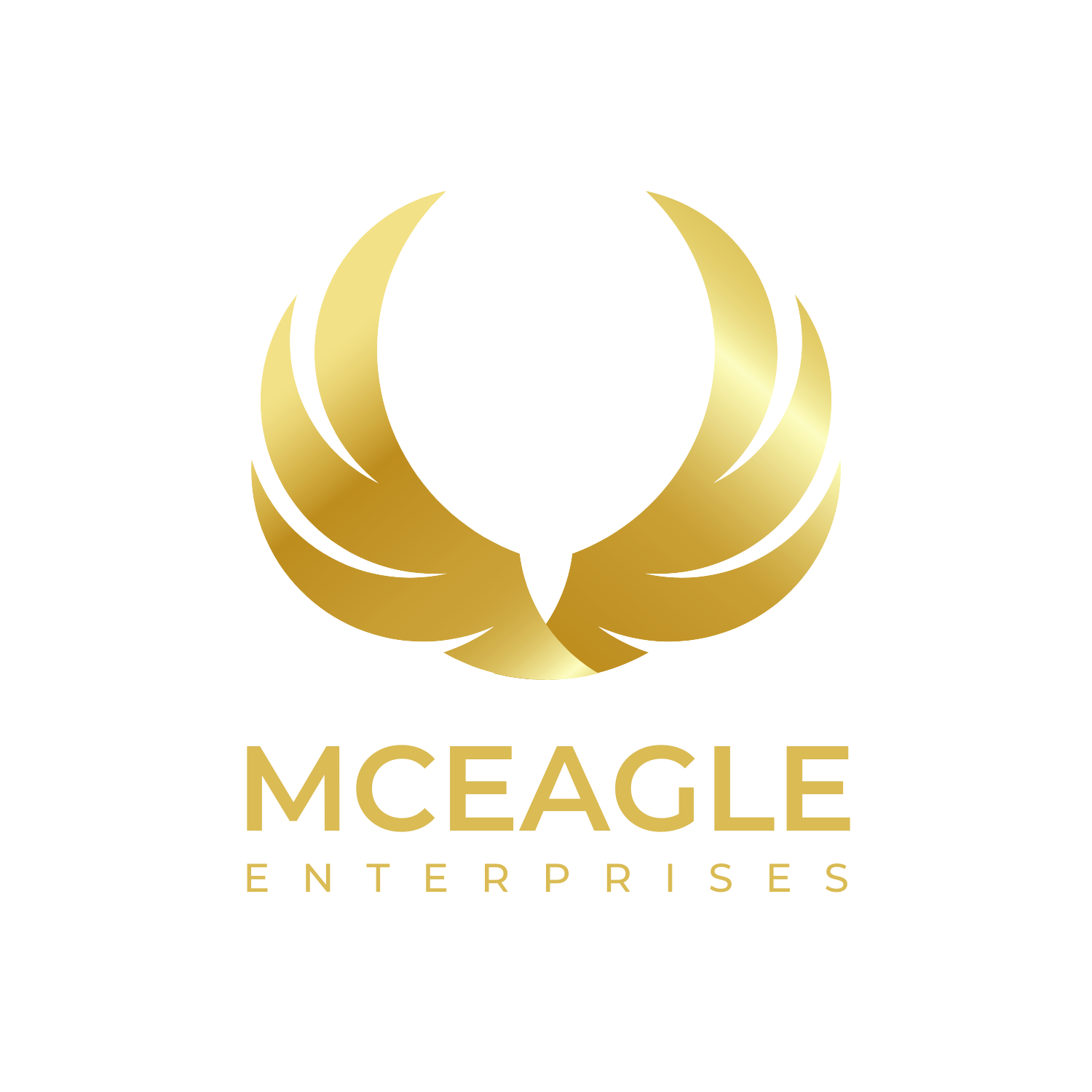 McEagle Enterprises Logo