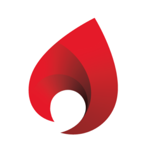Mein Kamin Logo