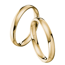 Juwelier Wagenblast Trauringe Goldankauf Verlobungsringe Logo