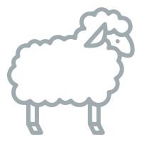 Merino Kids UK Logo