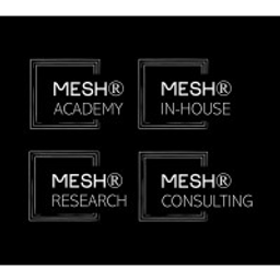 Mesh Academy Logo