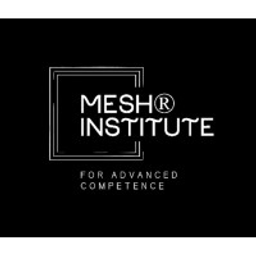 Mesh Institute Logo
