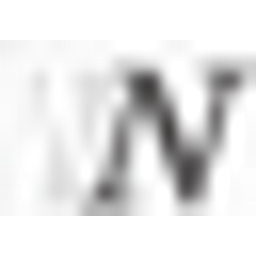 Nowicki Holger Feineisen Metallbau Logo
