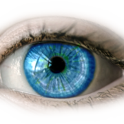 Michaelis Optik e.K. Augenoptiker Logo
