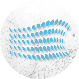 Michael Schilde Business Consulting Logo