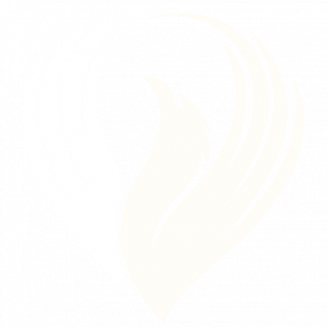 Ahmad Hachicho - Mindathy Logo