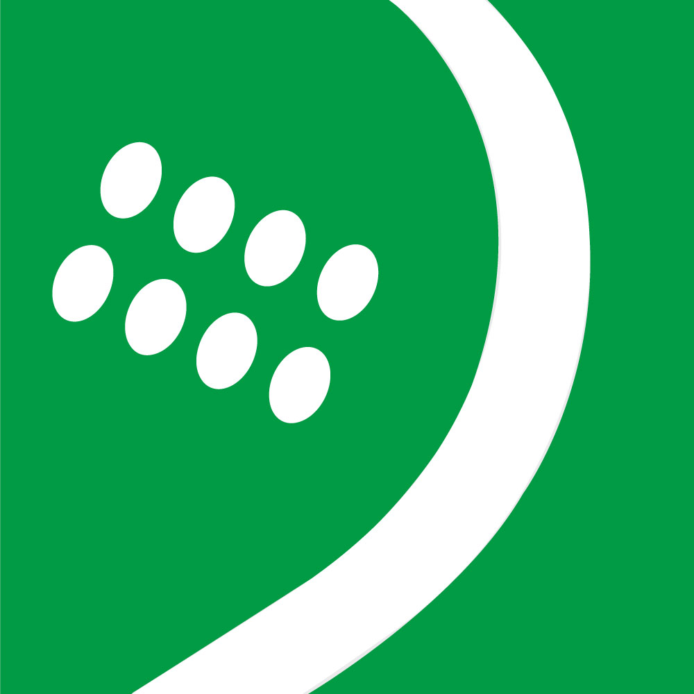 Misterpadel Logo
