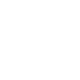 Modelmanagement Logo