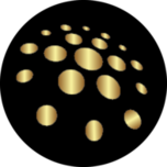 Msadvocate Logo