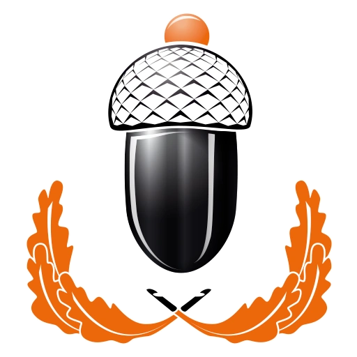 Myboshi Logo