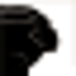 Mycurlsandme Logo