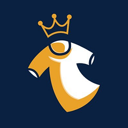 Mystery Jersey King Logo