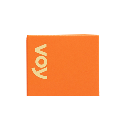 Voy Deutschland Logo