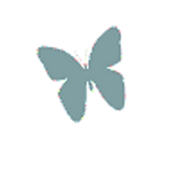Nadine Storm Logo