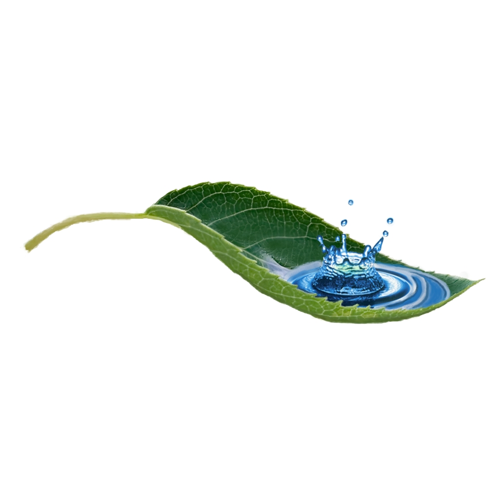 Naturheilpraxis Weiss Inh. Klara Gesine Weiß Logo