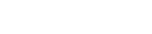Neon Vibes® Logo