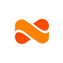 Netspend Logo