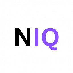 NETWORKIQ SOLUTIONS - FZCO Logo