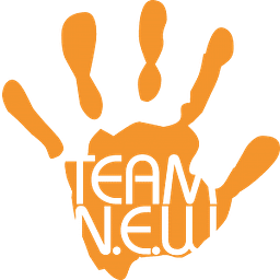 NEW Institut Logo