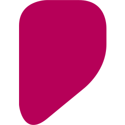 New Netz Logo