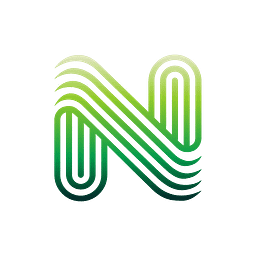 Nexaris IT Solutions GmbH & Co. KG Logo