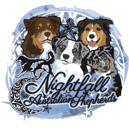 Nightfall Aussies Julia Zwiehoff Logo