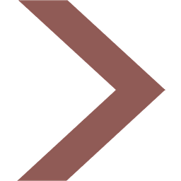 Nina Hochgraeber Logo