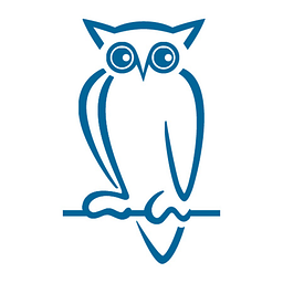 Noblex E Optics Logo