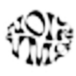 Noirvms Logo