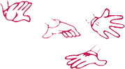 Noordanus John Physiotherapie Logo