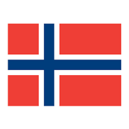 Norwegianshop24 Logo