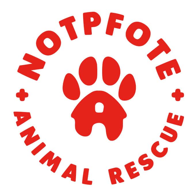 Notpfote Animal Rescue e.V. Logo