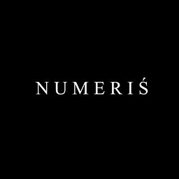 Numerisfootwear Logo