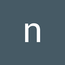Niederschick, Wolfram & Partner Logo