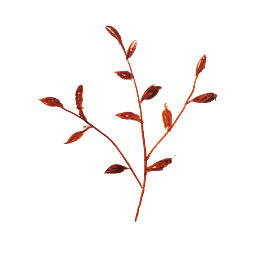 OlgaYogaDance Logo