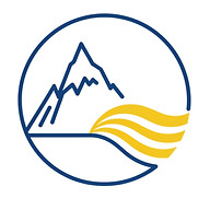 Online Surfshop Logo
