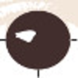 Trippner Nils Augenoptik Logo