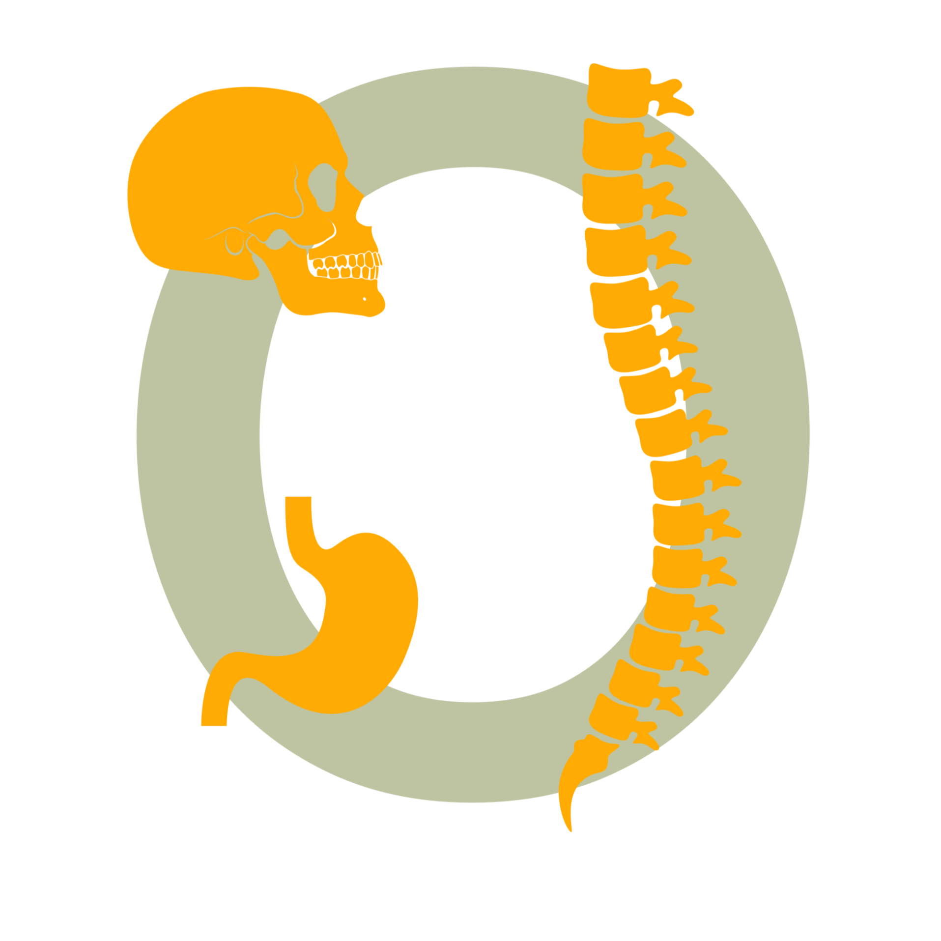 Praxis für Osteopathie und Komplementärmedizin Inh. Florian Lichte Heilpraktiker Logo