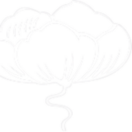 Wörtmann Gabi Praxis für Osteopathie Logo